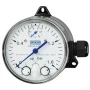 Wika Differential Pressure Gauge With Micro Switches, DPGS40, With Integrated Working Pressure Indication (Delta-Comb)